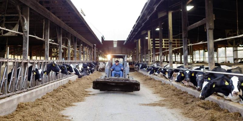 Don’t Panic. Food is Produced Every Day