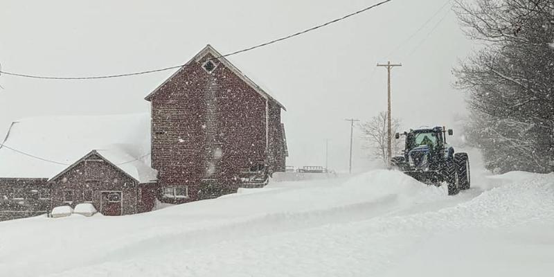 When A Farmer Saves the Day