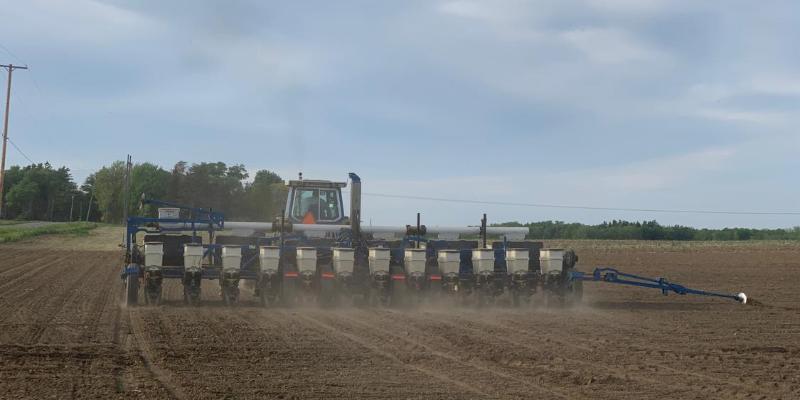 Soybeans