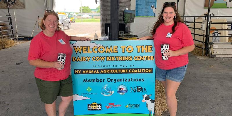The 2021 Dairy Cow Birthing Center Recap and Results