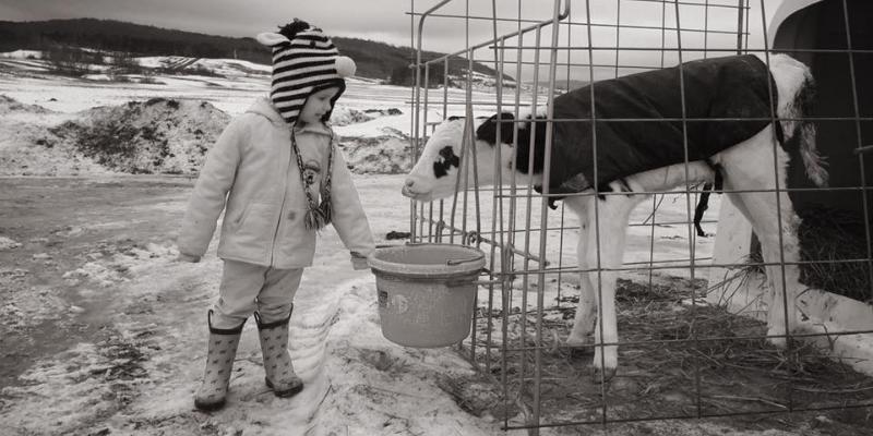 Farming During a Global Pandemic