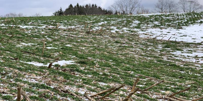 Sustainability Solutions on the Farm