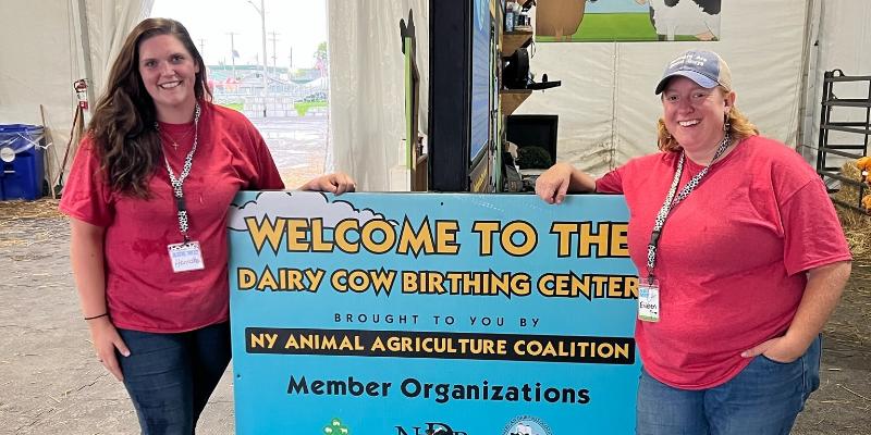 Dairy Cow Birthing Center Program Coordinator: Temporary Summer Position Available with NYAAC