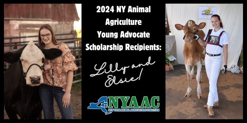 NYAAC's 2024 Scholarship Recipients