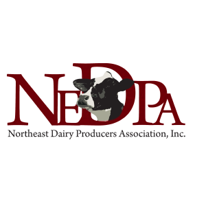 nedpa
